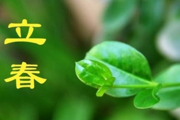 2023年立春时间，正月十四19:34。-新乐天