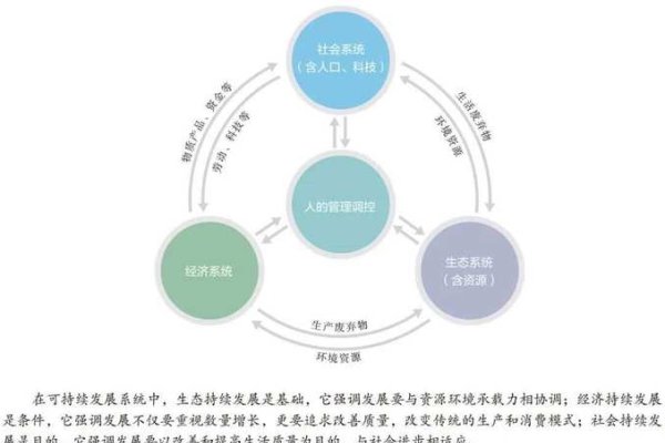 探索ROSHAN，解锁可持续发展新路径-新乐天