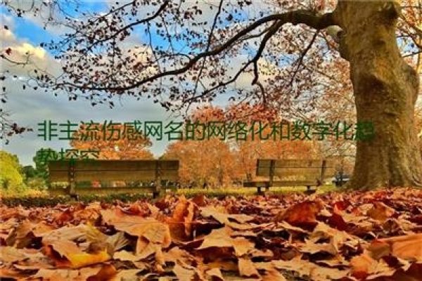 QQ伤心网名，网络背后的情感暗涌-新乐天