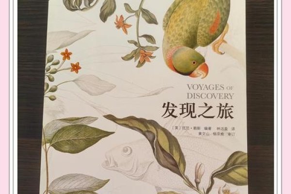 探索Enning的奥秘，一种心灵的宁静与自我发现的旅程-新乐天