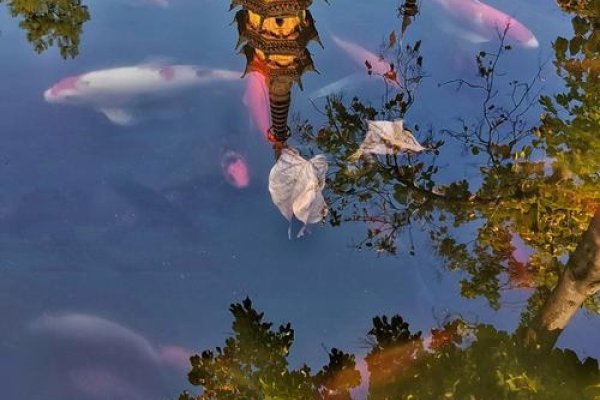 Duobao现象，中国式共享经济的独特风景-新乐天