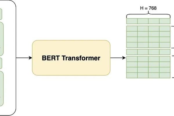 Bertie，从理论到实践——探索BERT的衍生模型及其应用-新乐天
