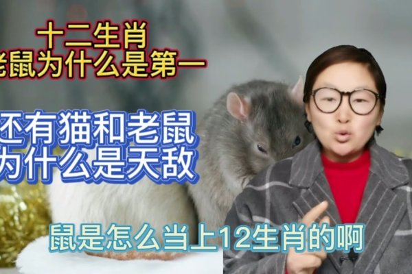 醍醐灌顶,生肖鼠寓意智慧与启迪-新乐天