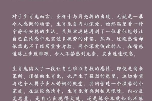 1987年属兔人2025运势，木火交融，情感与成就的双重挑战-新乐天