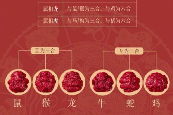 2022年犯太岁生肖，虎、猴、蛇、猪、鸡-新乐天