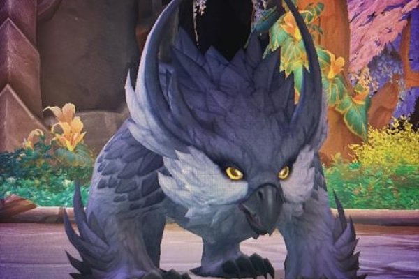 德鲁伊，古老文明的灵动灵魂-新乐天