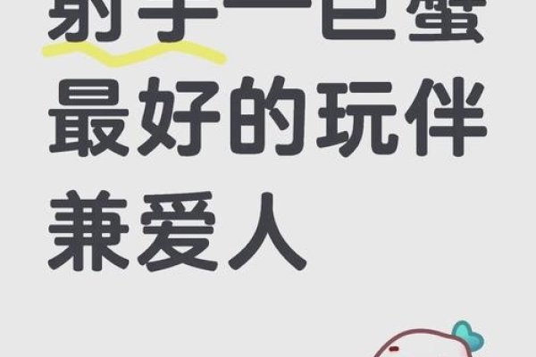 巨蟹座与射手座的奇妙邂逅，星座碰撞下的情感探索-新乐天