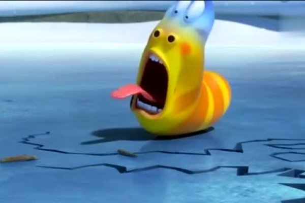 心心相印的最佳动物—企鹅-新乐天