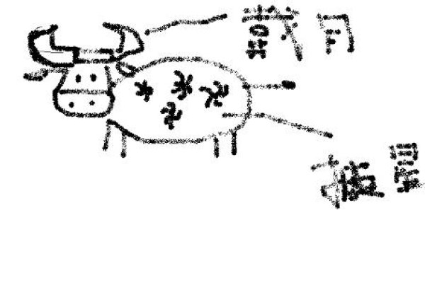 披星戴月生肖揭秘-新乐天