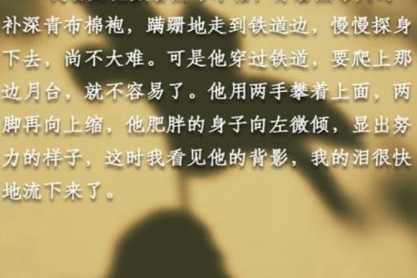 探寻8月13日的神秘面纱—一个值得纪念的日子-新乐天