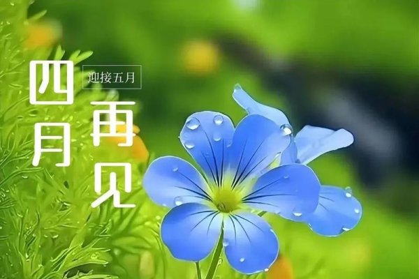 揭秘4月30日的特殊意义-新乐天