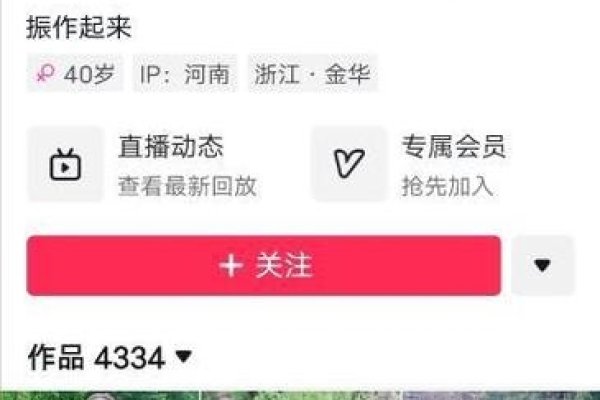 揭秘抖音抖乳ID,网络流行背后的真相与风险-新乐天