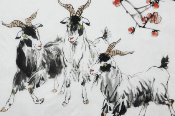 患难与共生肖揭秘-新乐天