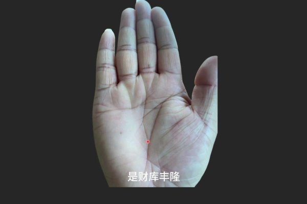 探索有钱人的手相,财富与命运的微妙线索-新乐天