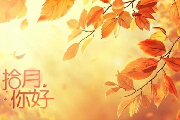 10月日历，秋意渐浓，岁月静好-新乐天