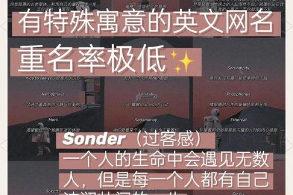 男孩英文名,探索世界、绽放独特光芒-新乐天