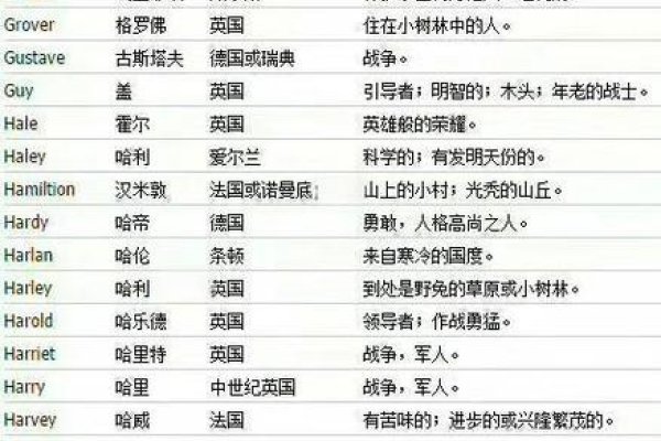 男孩英文名字，探索男孩成长路上的独特密码-新乐天