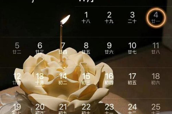 11月4日，特殊的日子与纪念-新乐天