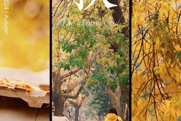 11月13日，秋意浓情的日子-新乐天