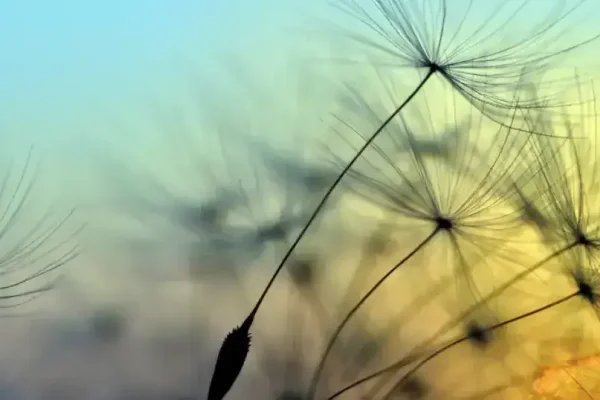 10月24日，一个特殊的日子-新乐天