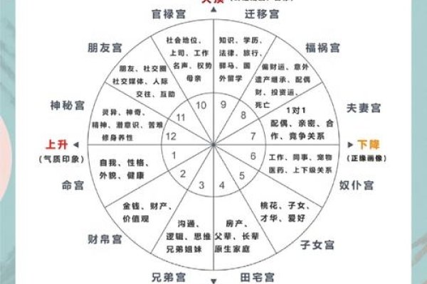 星座运势查询，解锁你的每日宇宙能量-新乐天