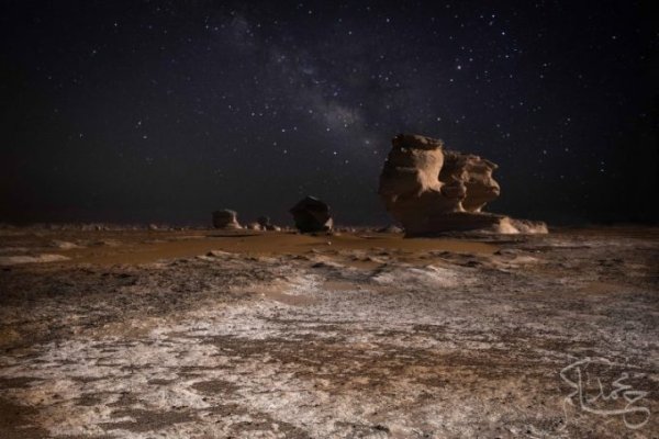 揭秘一月四日的神秘面纱，特殊日子的探寻之旅-新乐天