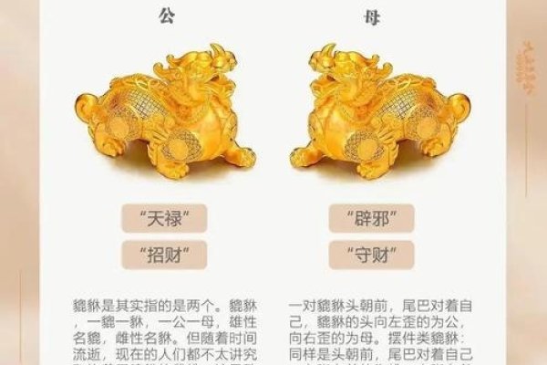 貔貅最忌讳的生肖—揭秘神秘传说背后的真相-新乐天