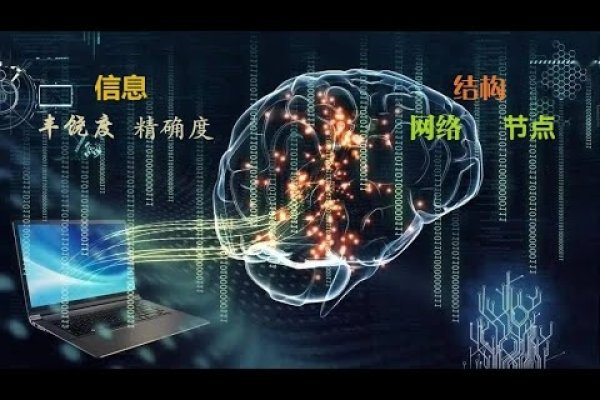 探索在线姓名评分，文化、算法与自我认同的交织-新乐天