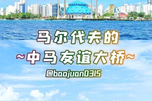 跨越国界的友谊桥梁，国际交友网的兴起与影响-新乐天