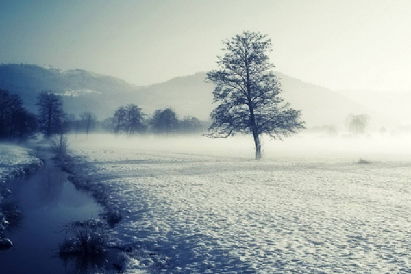 下一个兔年是哪一年-新乐天