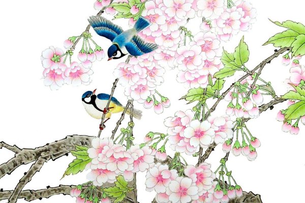 鸟语花香与生肖的奇妙交融-新乐天