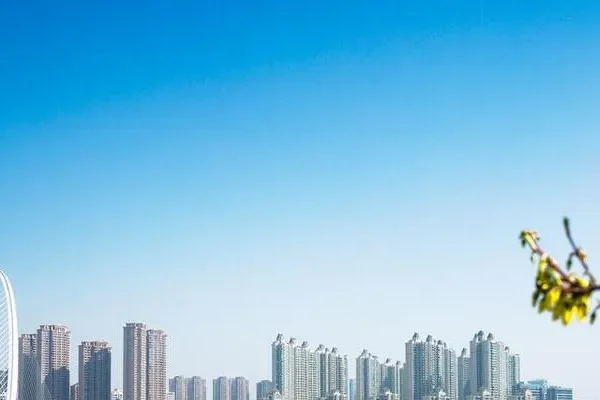 鸟语花香生肖探秘-新乐天