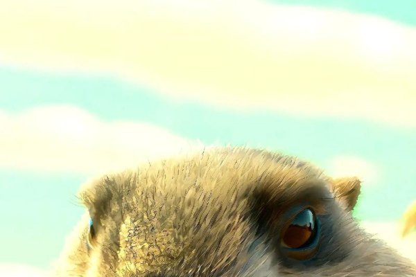 尖牙利齿的动物是什么生肖-新乐天