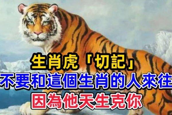 咬牙切齿打一生肖，虎-新乐天