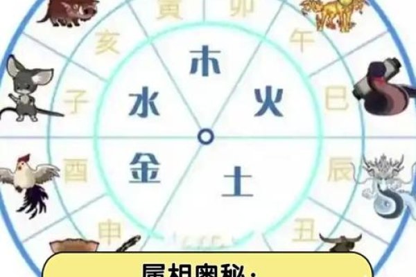 骄阳似火生肖解析-新乐天