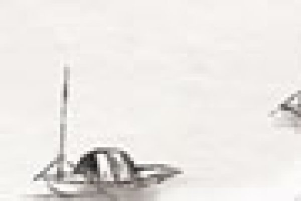 腊月廿二是否是黄道吉日？解读传统文化与现代观念-新乐天