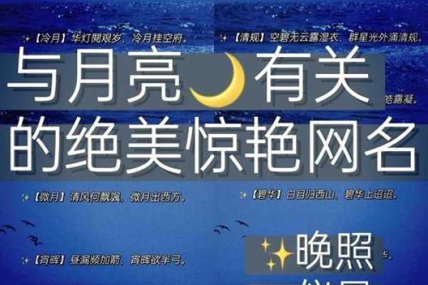 星月相随，浪漫情侣网名，共绘余生梦童话-新乐天
