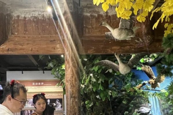 7月22日，一个特殊的日子-新乐天