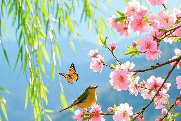 4月30日，春天的脚步与美好时刻-新乐天