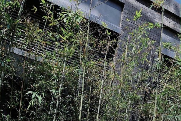 6月18号，夏日来临的日子-新乐天
