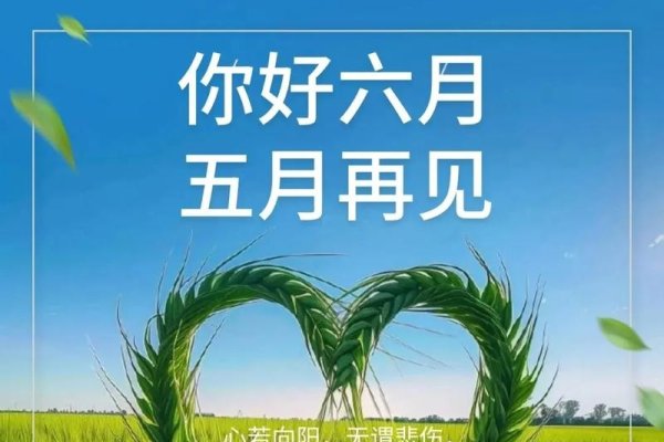 6月17日，夏日初见的日子-新乐天