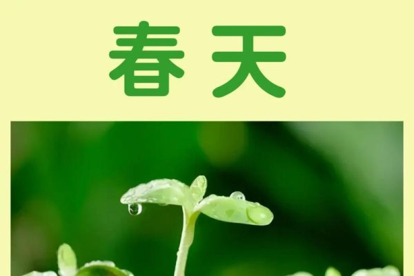 4月17日，春天的脚步与新生的开始-新乐天