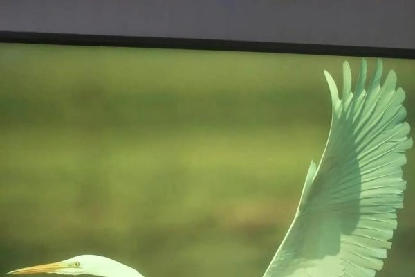 3月21日，春天的序曲-新乐天