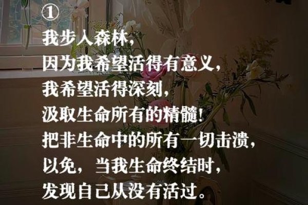 诗意微信名，爱与自由之歌-新乐天