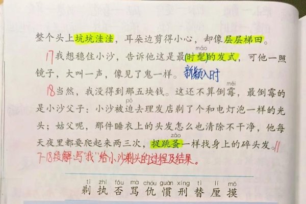 剃组词与拼音的奇妙之旅-新乐天