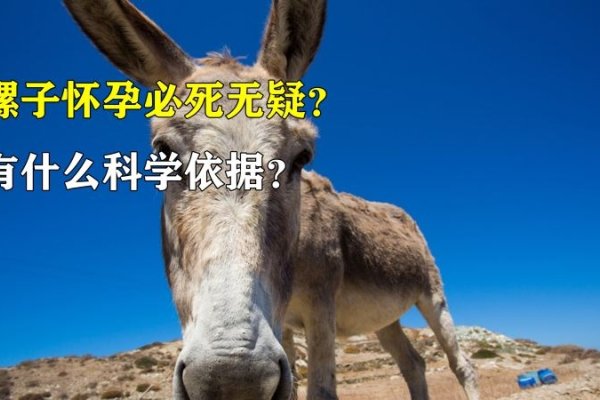 痦子的位置与命运图-新乐天