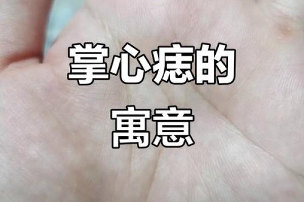 掌中的朱砂痣，命运的印记与情感的寄托-新乐天