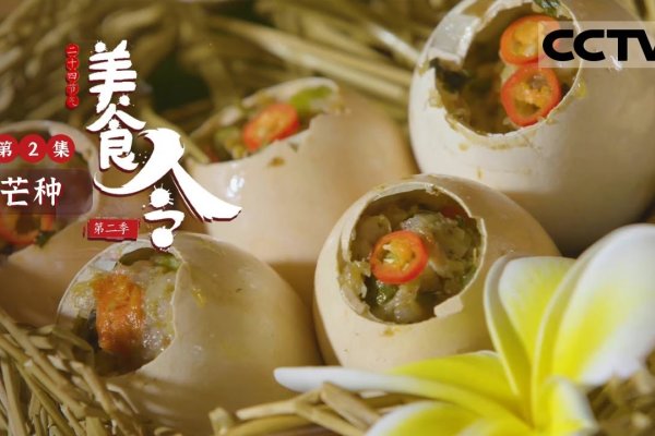 芒种节的风俗与饮食文化,探寻芒种节应该吃什么的奥秘-新乐天