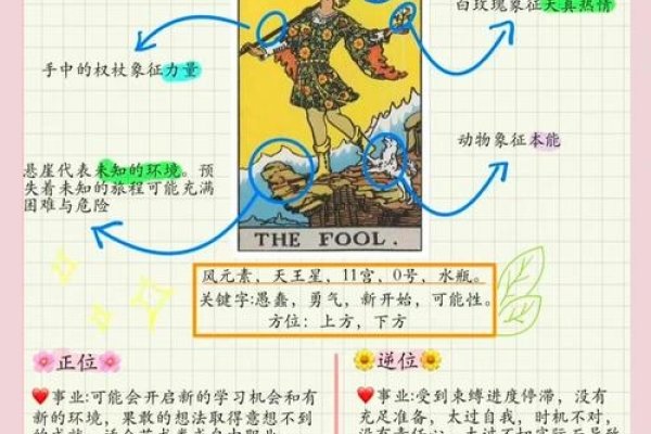 愚者解读-新乐天