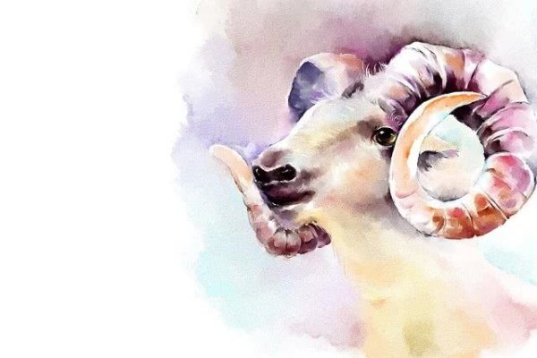 躲在角落不见人的生肖-新乐天